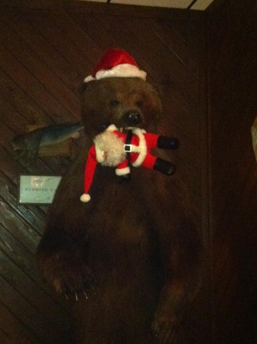 Santa Survives Bear Attack
