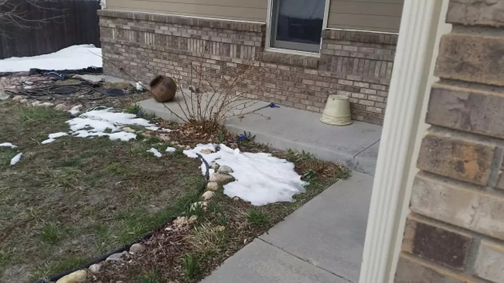 Repair A Ratty Looking Wyoming Lawn? [VIDEO]