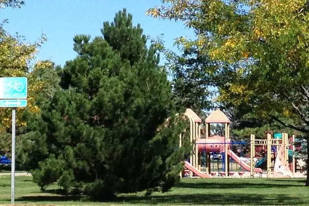 5 of Cheyenne&#8217;s Best Playgrounds