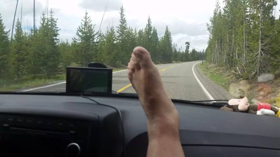 Bigfoot Spotted In Yellowstone National Park