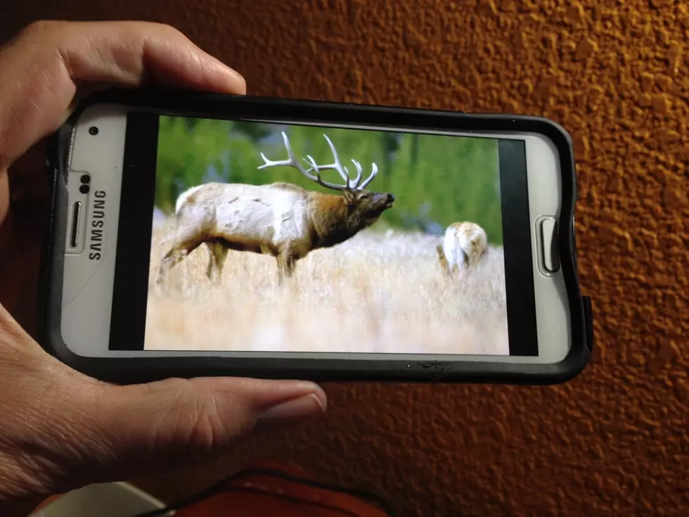 Wyoming Hunting – There’s An App For That