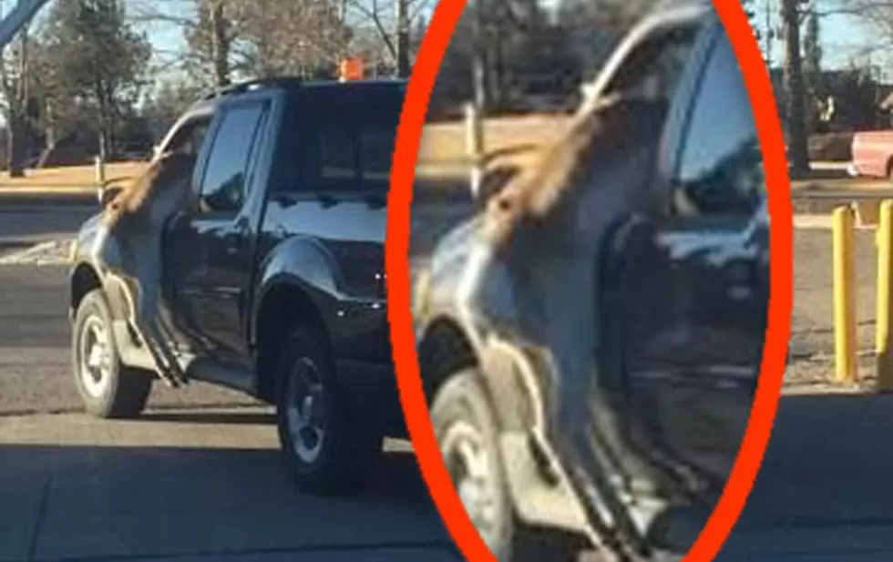 Antelope Jumps In Truck At Cheyenne Airport