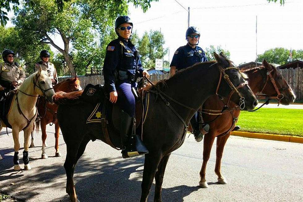 Cheyenne Police Horses Ordered Food At Taco John’s Drive-Thru