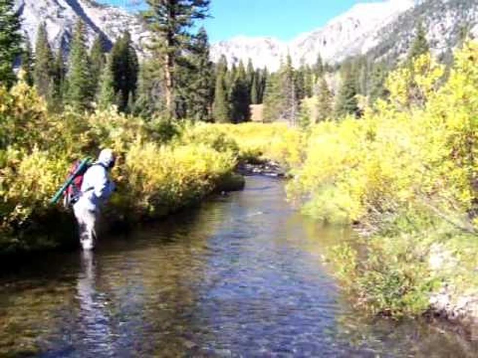 Labor Day Weekend Perfect For Catching A Wyoming Fresh Fish Dinner
