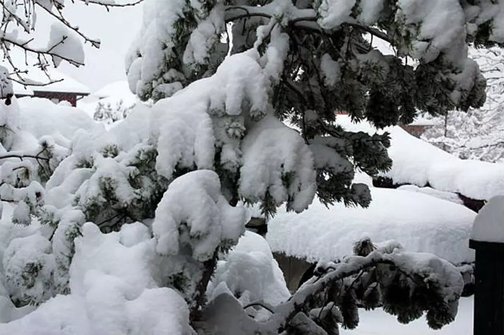 Prettiest Wyoming Snowfall Photos From This Weekend