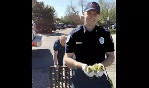 Cheyenne Firefighters Save Baby Geese