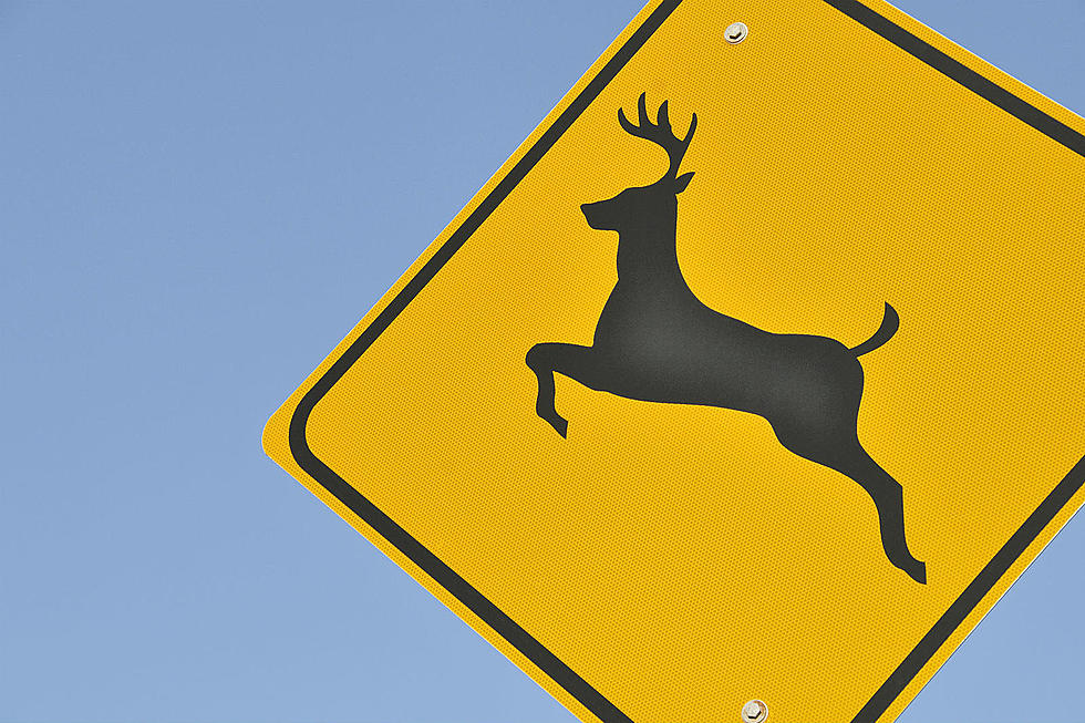 Man Dies in Crash After SUV Swerves to Avoid Deer in Western Wyo.