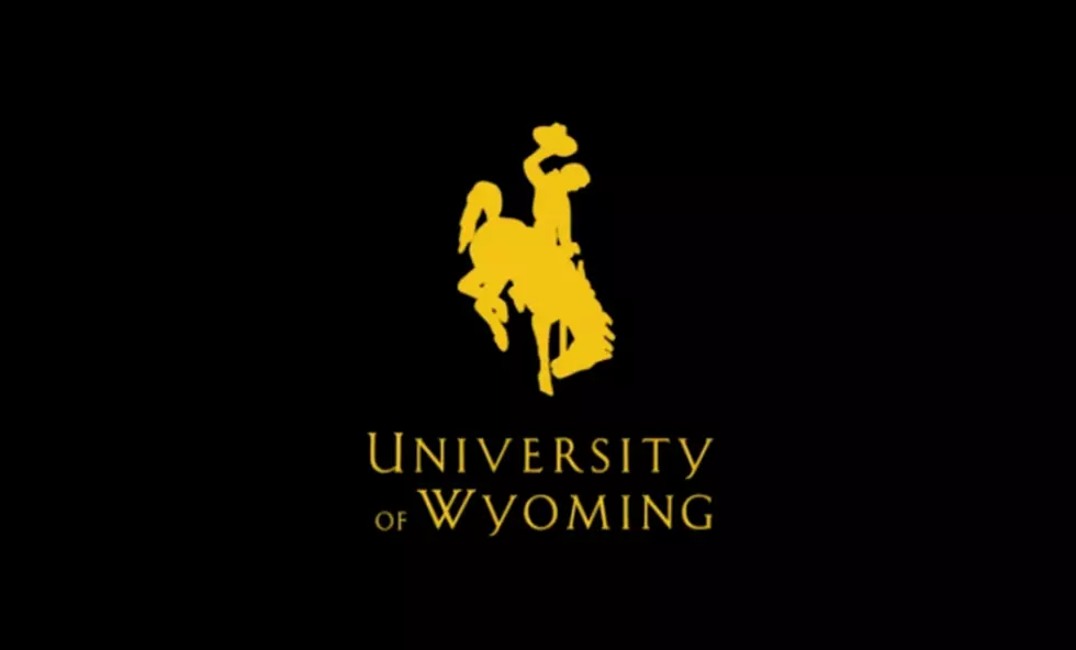 Wyoming’s ‘World Needs More Cowboys’ Campaign Wins National Award