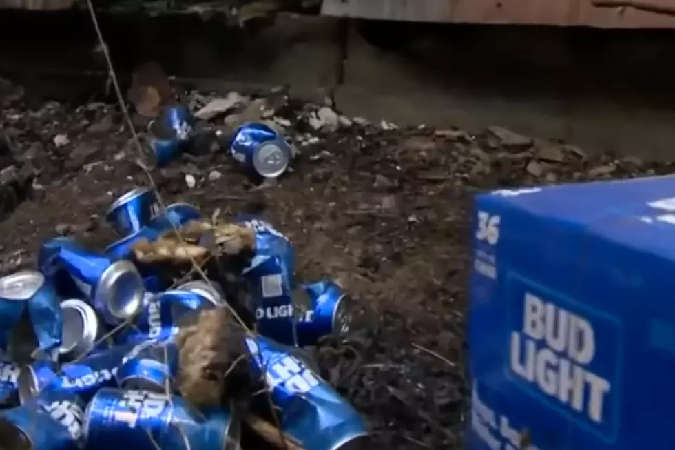 Man Fights Wildfire With Cans of Bud Light