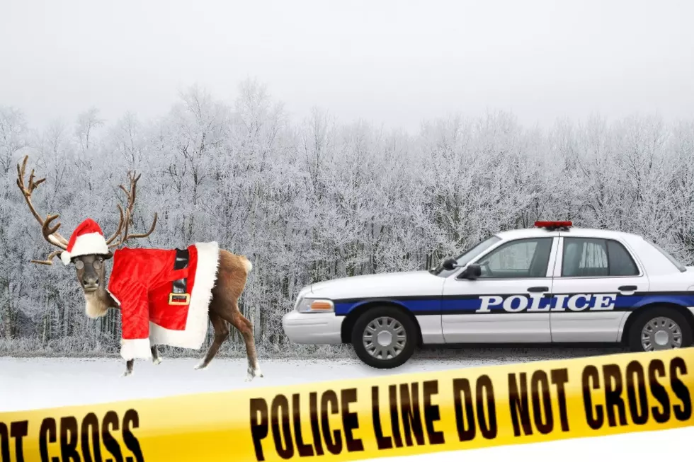 Wyoming’s Weird Reindeer Law Could Get Santa Fined