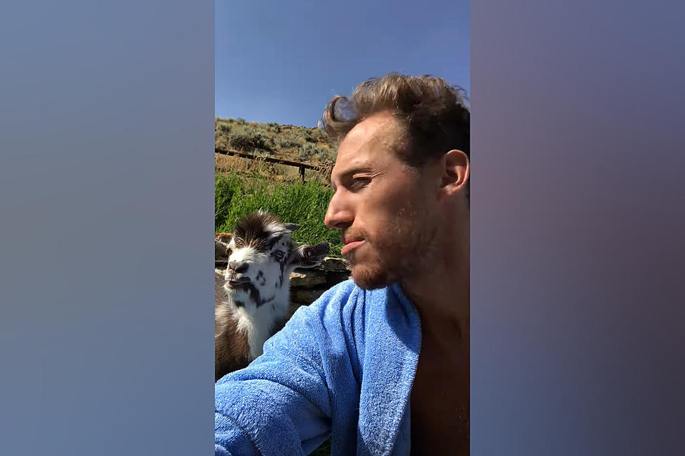 Watch a Dubois, Wyoming Man’s Hilarious Argument with a Tiny Goat