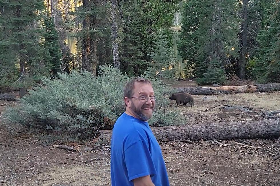 Watch Man Give Masterclass on How NOT to Scare a Bear from Camp