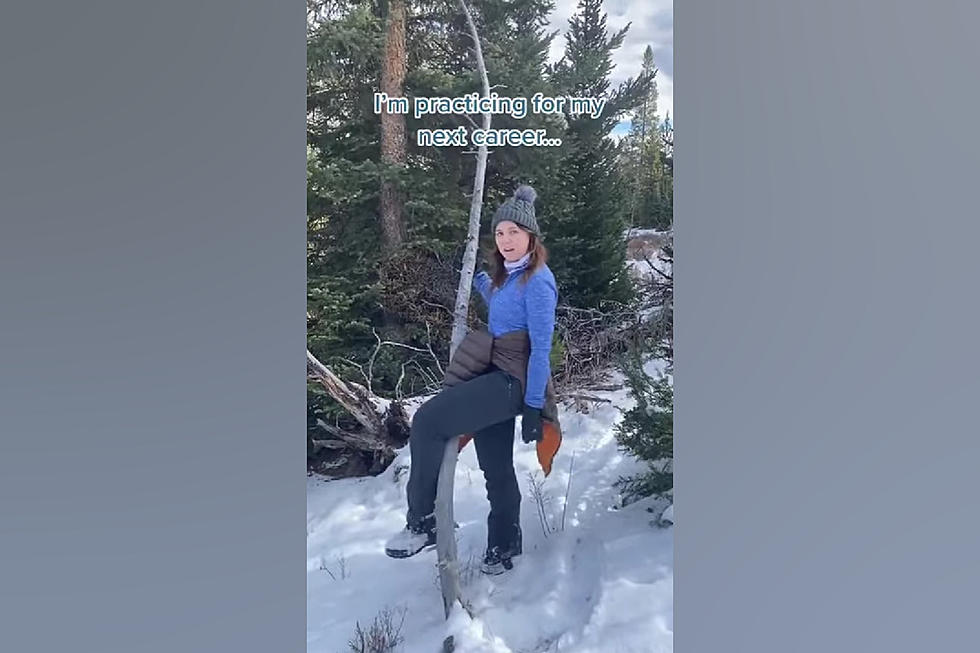 Wyoming Woman Pole Dances with a Tree & It Doesn’t End Well