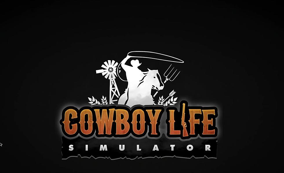 Finally, There&#8217;s a Game that Simulates the Life of a Real Cowboy