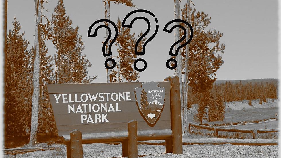 44 Years Ago, 2 Geologists Encountered a Bigfoot Near Yellowstone