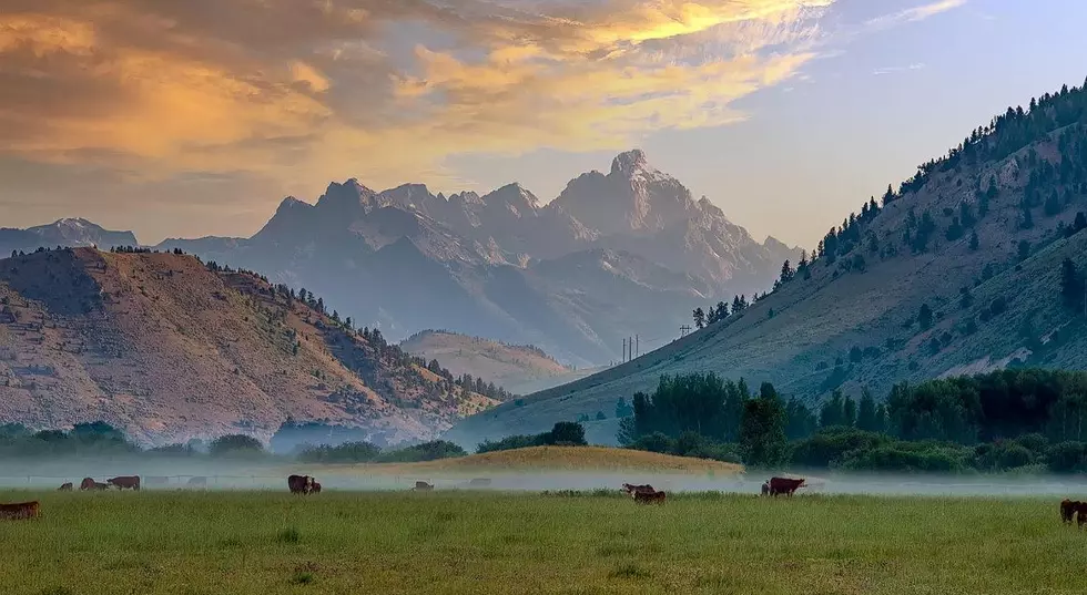 This Sweet Wyoming Land Can Be Yours for Only $65 Million Dollars