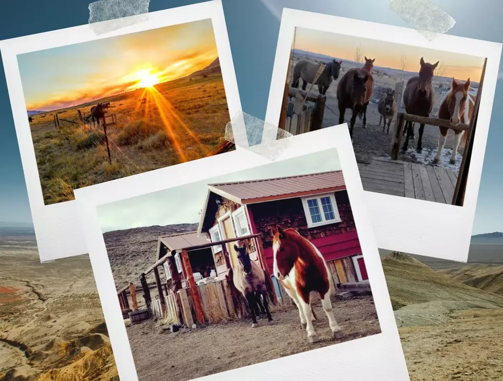 See a Rustic Cody, Wyoming Cabin that&#8217;s Visited By Wild Mustangs