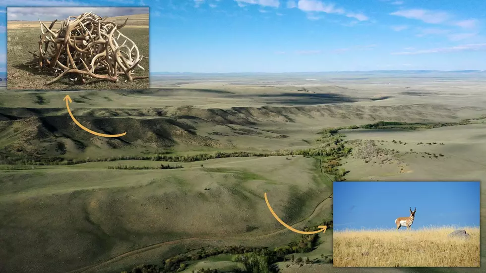 See the Gorgeous Snowy Range Ranch 30 Minutes from Laramie