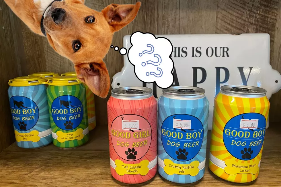 Bottoms Pup! Here&#8217;s Where You Can Get Beer For Your Dog In Cheyenne