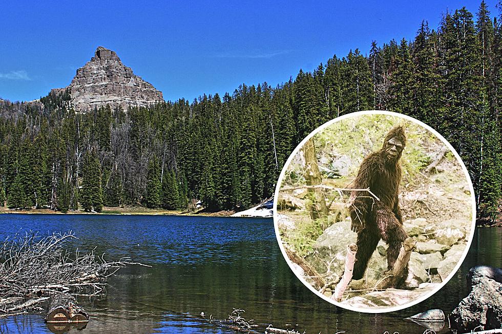 [VIDEO] Bigfoot Lives in Wyoming? These Witnesses Believe It!