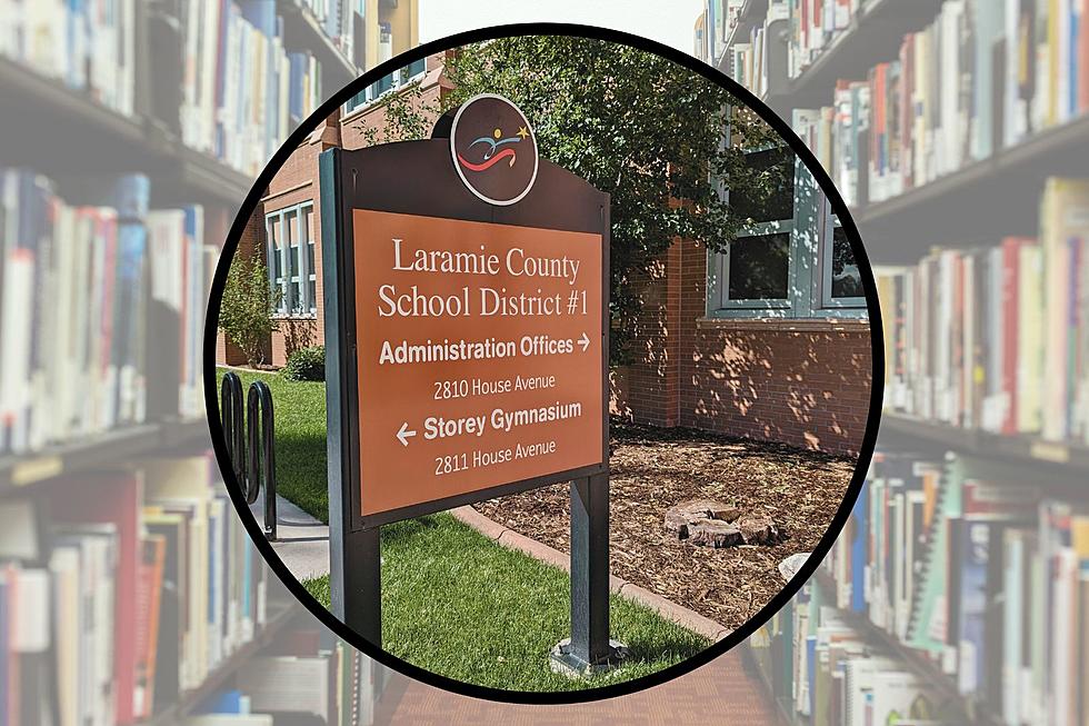 LCSD1 Book Ban Battle: Public Comment Majority Opposes New Policy