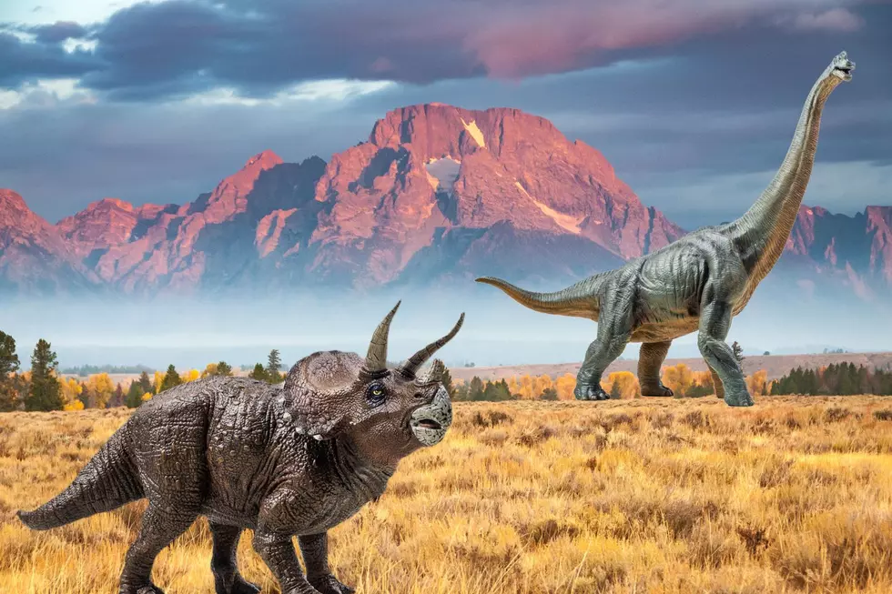 [LOOK] Meet the Dinosaurs That Roamed Across Pre-Historic Wyoming