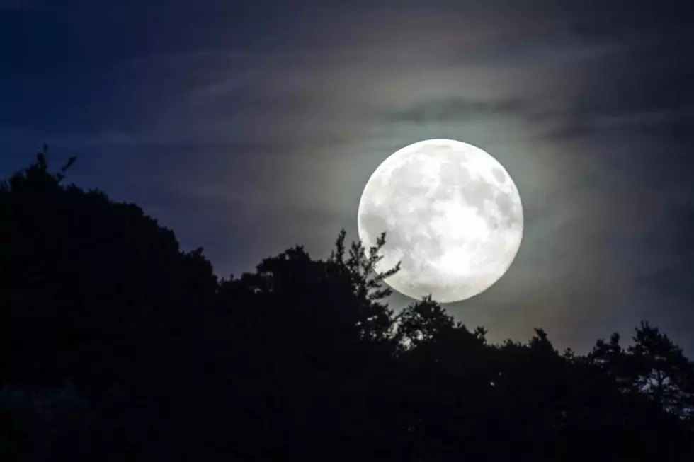 Esta semana luna llena es una luna de flores “Superluna”