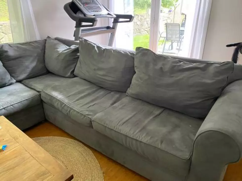 Dog-Approved Hudson Valley Couches on Craigslist
