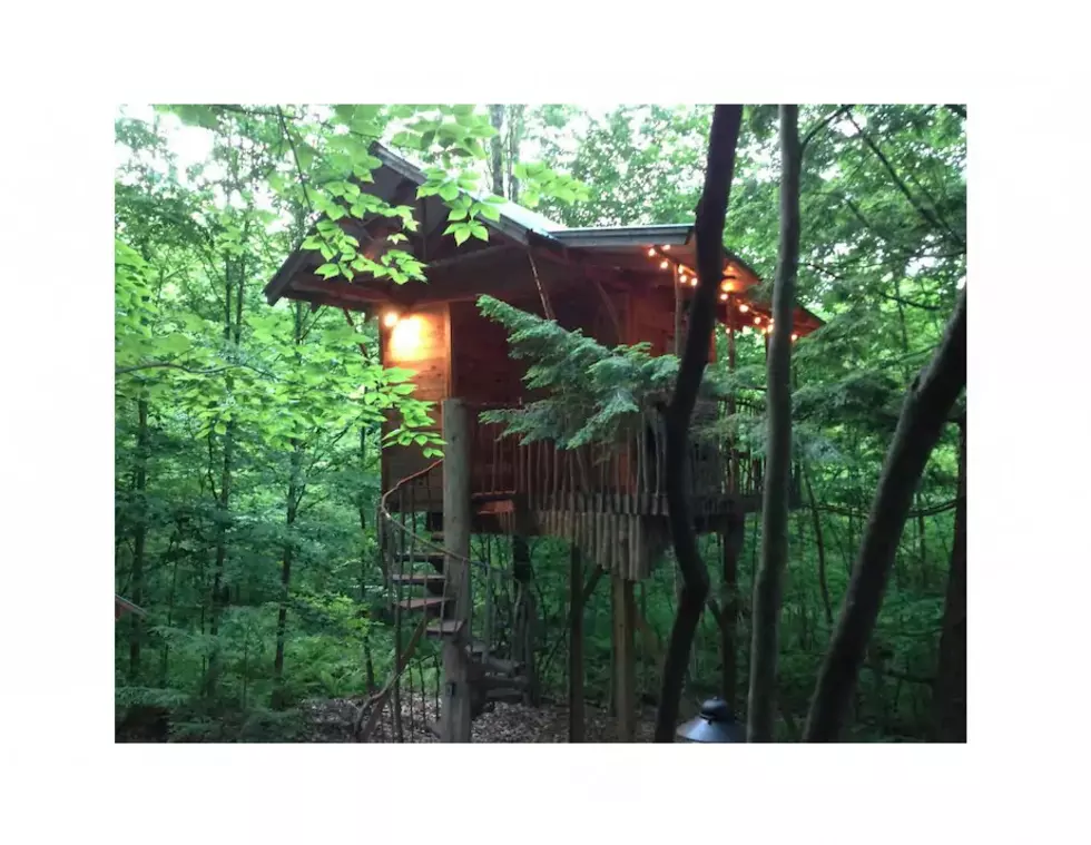 Rent an Adirondack Treehouse for a Easy Summer Getaway