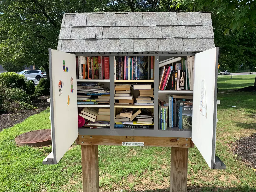 Got Children’s Books? Poughkeepsie Adding 4th Little Free Library