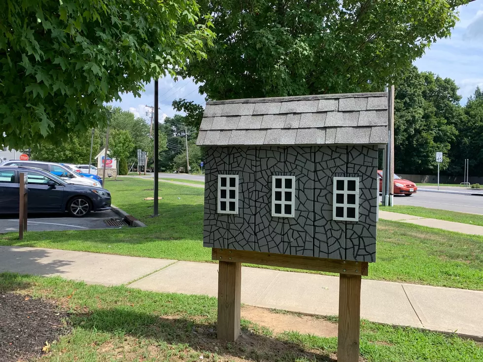 What’s Inside This Little Free Library? Where Are They Located?