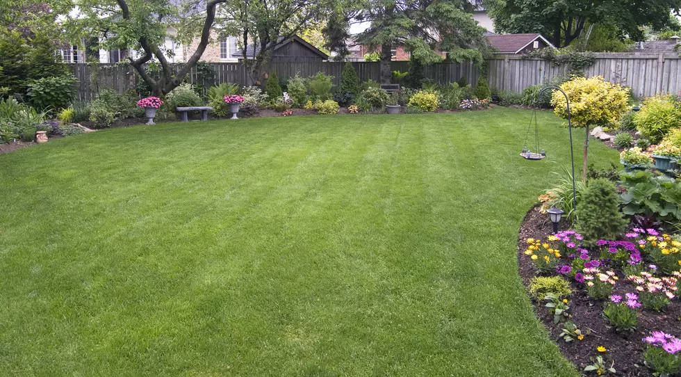 Tips for Getting Your Backyard Ready for Spring