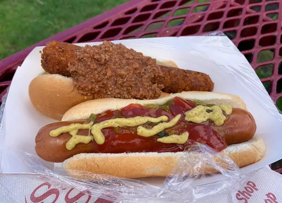 Which Gig is Better MLB Hot Dog or Hudson Valley Hot Dog Taster?