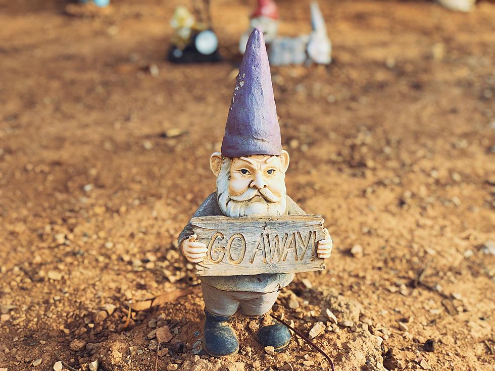 World’s Largest Garden Gnome is “Not Hiding” in Kerhonksen
