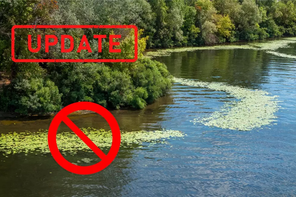 Update: Harmful Algal Blooms Spread to More Parts of Ulster County