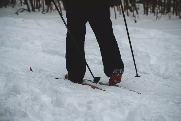 8 New York State Parks Where You Can Go Cross Country Skiing