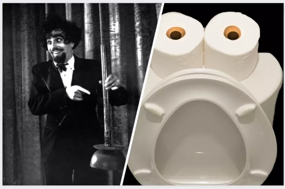 Every New Yorker Knows: The 5 Keys to Plunging a Clogged Toilet