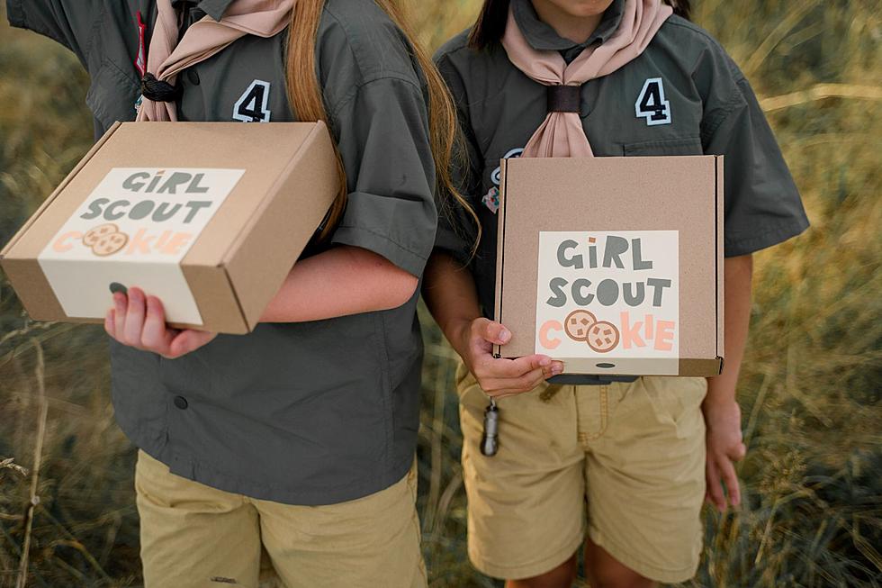 Do You Remember These Girl Scout Cookie Throwback Flavors?