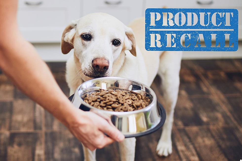 Popular Dog Food Brand Issues Recall