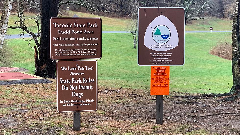 Which New York State Parks Have a Disc Golf Course?
