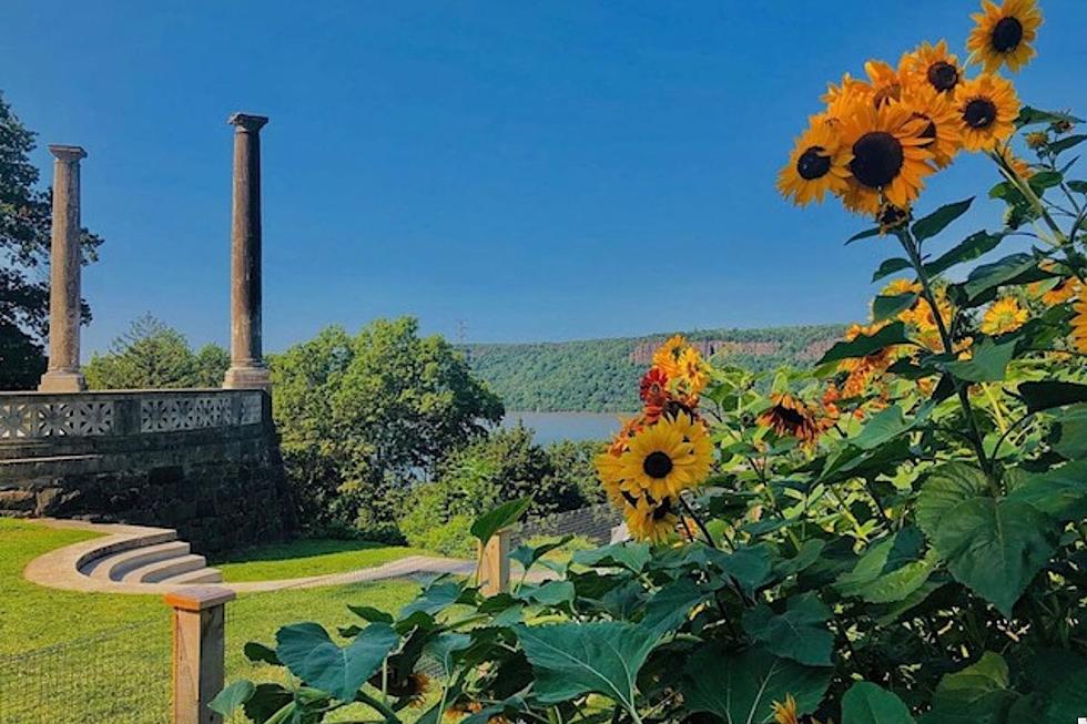 ‘Naturally Famous’ Historic Lower Hudson Valley Garden Has Free Admission