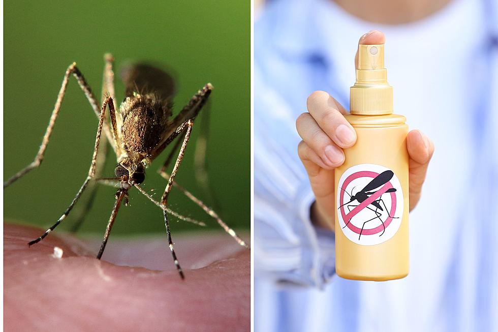 Every New Yorker Should Know These 5 Symptoms of West Nile Virus