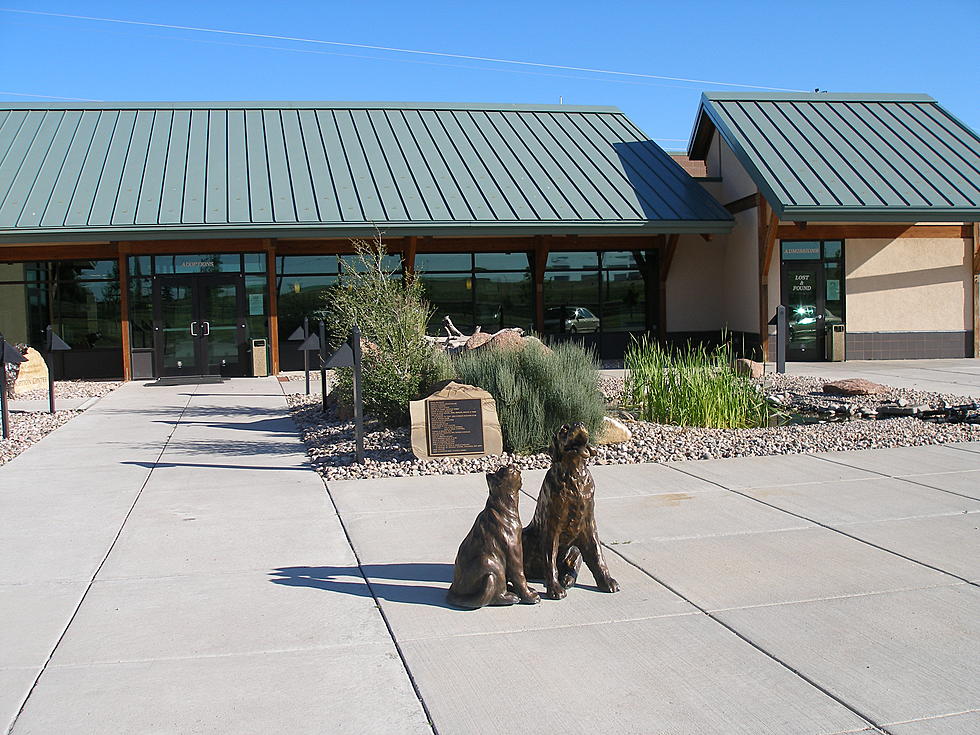 Remember, Cheyenne Animal Shelter Microchip Clinic on May 5th