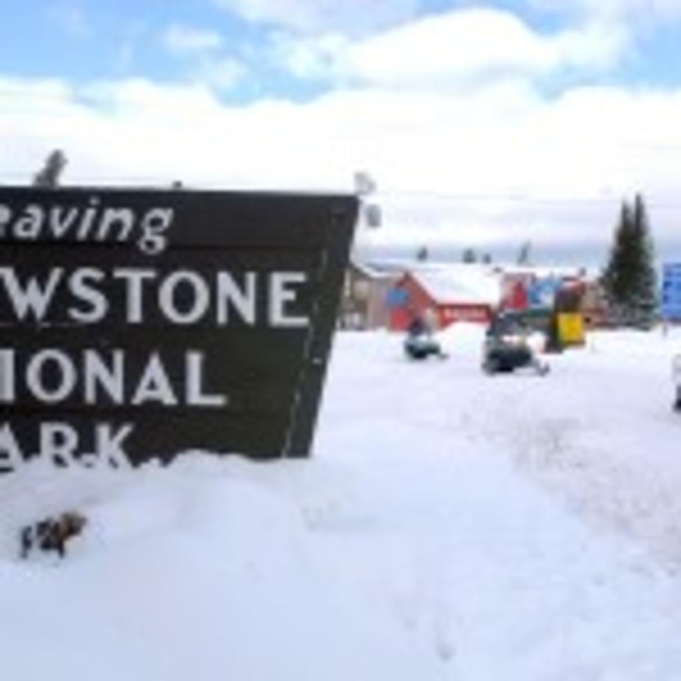 Yellowstone Winter Visitation Down [Audio]