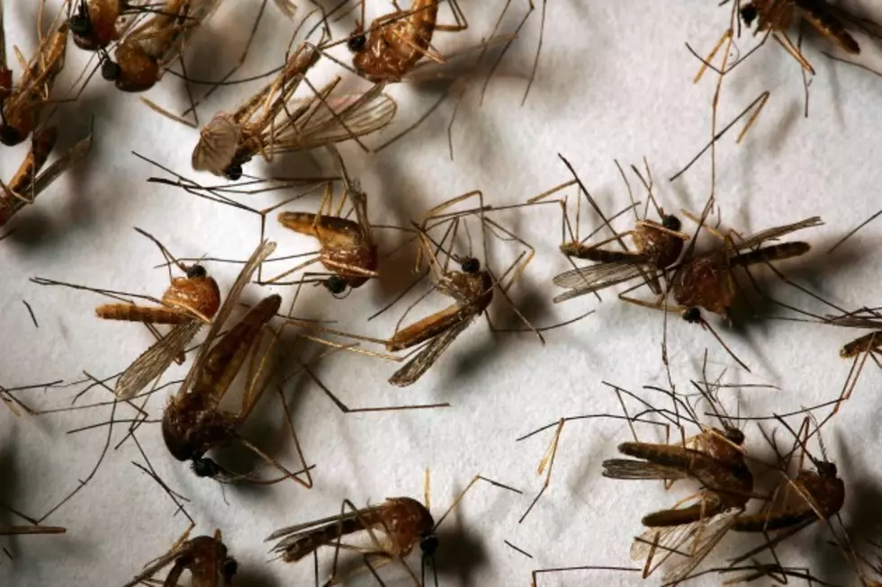 West Nile Virus Case Reported