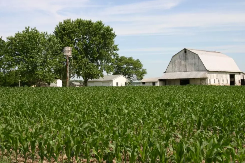 Farm Bill Passes Senate, Heads to the House [AUDIO]