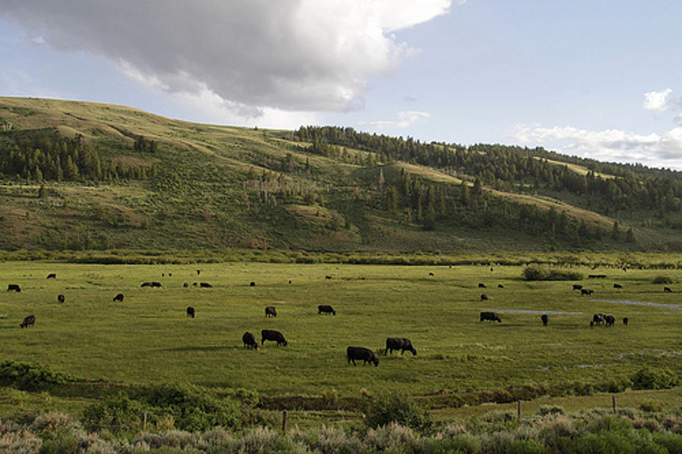 Wyoming&#8217;s Ranch Values Increased 4.7 Percent in 2012 [AUDIO]