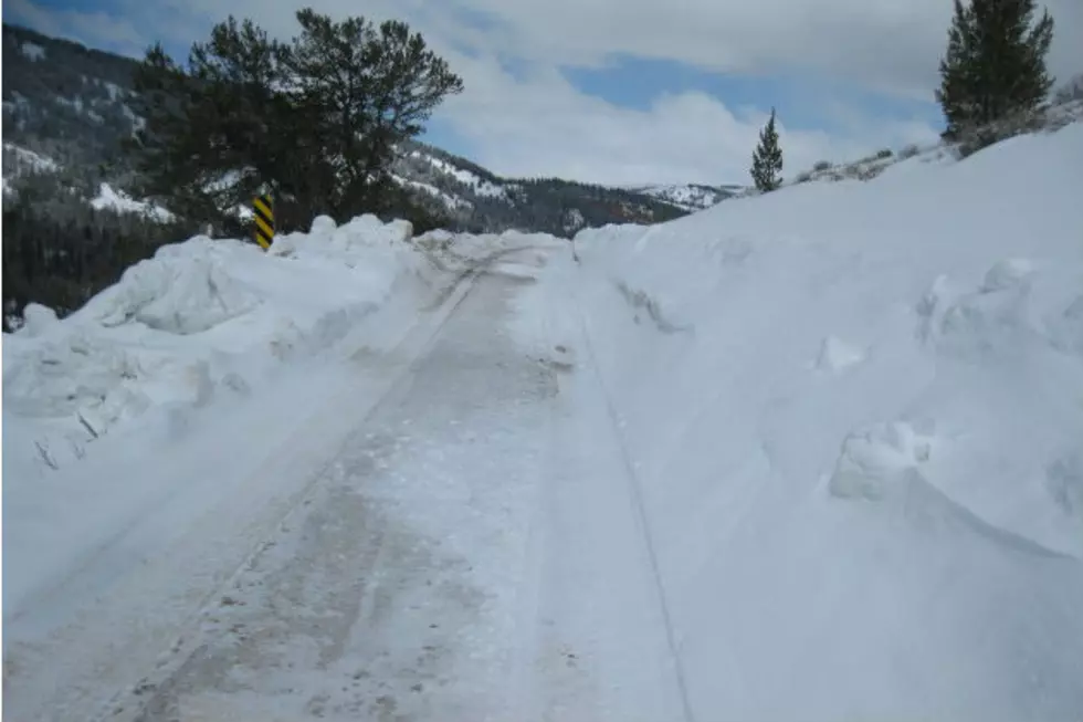 Winter Travel Restrictions to Begin on Bridger-Teton National Forest