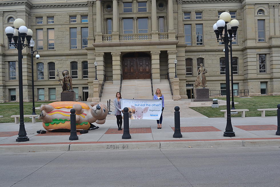 Animal Rights Group Protests At Wyoming Capitol