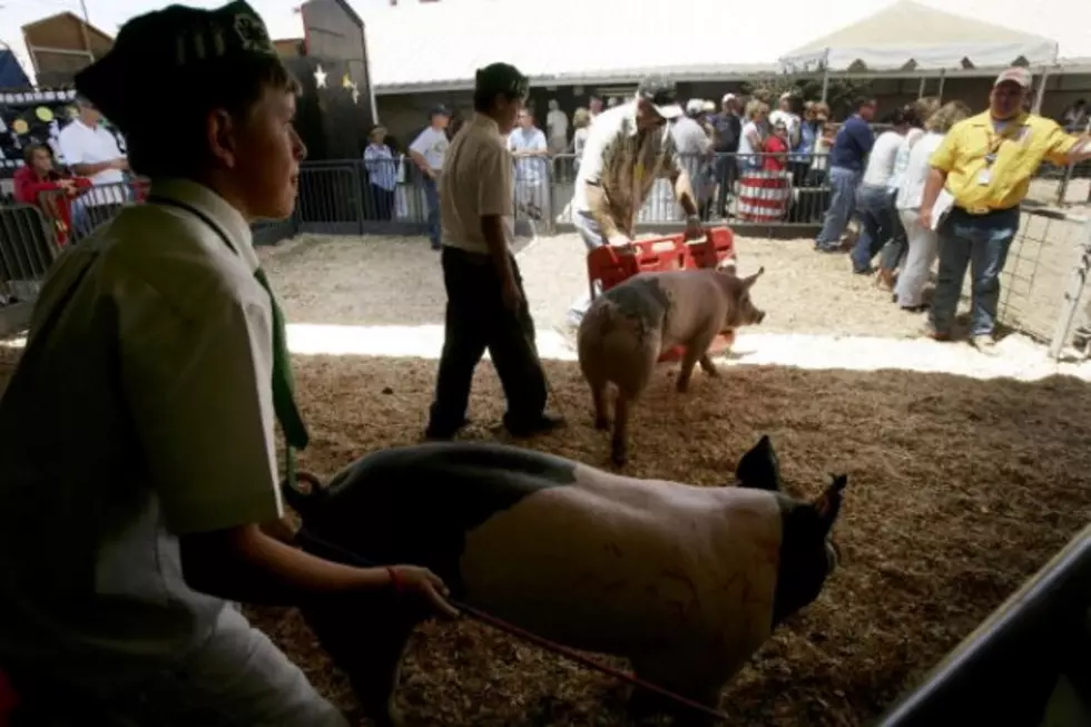 The Laramie County Fair Kicks Off Today In The Cheyenne Area